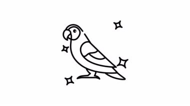 Papağan kuş animasyonu parlayan yıldızlarla çevrili bir papağanın neşeli bir şekilde durduğunu gösteriyor..