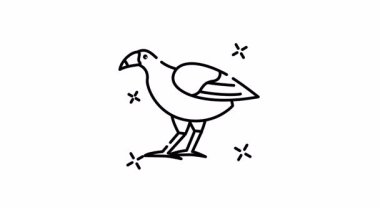 Mor gallinule çizgi filmi pukeko. Çizgi film karakteri gibi tuhaf bir şekilde tasvir edilen bir kuş türü. 