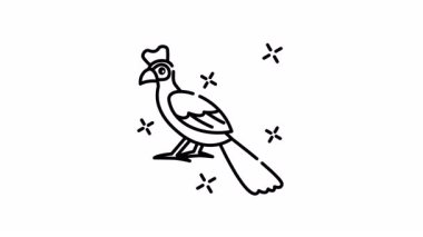 Parıldayan yıldızlar arasında kırmızı armalı Turaco kuşunun ikon animasyonu.