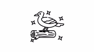 Martı çizgi film videosunun animasyonu