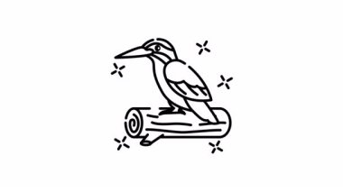 Kingfisher simgesi hareketindeki elementlerin birleşimi, tahta bir ağaç dalına tünemiş canlı bir Kingfisher kuşunu gösteriyor..