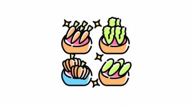 Sebze sebzeleri bölümünün animasyonunda taze havuç, marul kabağı ve yeşillik dolu dört kâse yer alıyor..