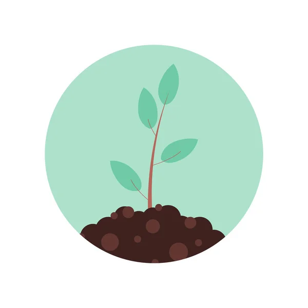 Ilustração Uma Planta Verde Jovem Brotar — Vetor de Stock
