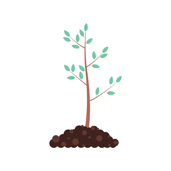Árbol Recién Plantado Concepto Conservación Forestal — Vector de stock