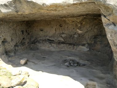 Kayalık bir sahil kayalığındaki yıpranmış bir mağara sığınağı yumuşak sabah ışığı altında eşsiz jeolojik oluşumlar sergileyen antik zamanlara bir bakış sunar..