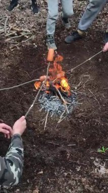 Bir grup arkadaş kamp ateşinin tadını çıkarmak için ormanda toplanır. Sosisleri çubuklarda kızartırlar. Sıcak bir bahar gününde doğanın güzellikleri arasında kahkahalar ve hikayeler paylaşırlar..