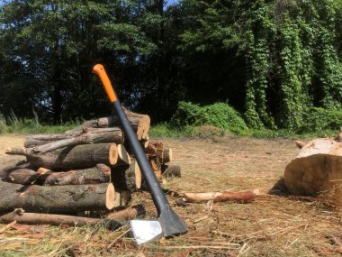 Bir balta, yeni kesilmiş kütüklerin üzerinde duruyor..
