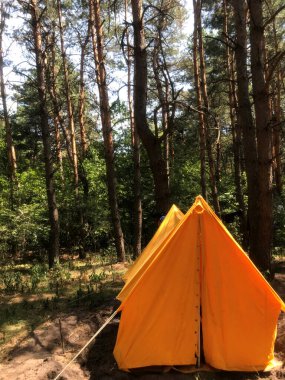 Sarı çadır ormandaki uzun ağaçların arasında duruyor..