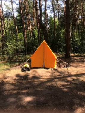 Sarı çadır ağaçların altında sessiz bir ormanda duruyor..