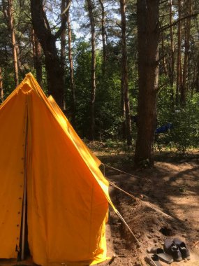 Güneşli bir ormandaki ağaçların arasında canlı bir çadır duruyor..