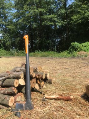 Bir işçi açık bir gökyüzünün altında odun kırmaya hazırlanıyor..