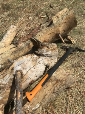 Sakin bir ormanda odun için odun hazırlıyorum.