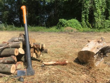 Güneşli bir günde çimenli bir tarlada odun kesmek..