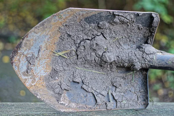 Kahverengi Pas Gri Kuru Toprak Içinde Eski Bir Demir Küreğin — Stok fotoğraf