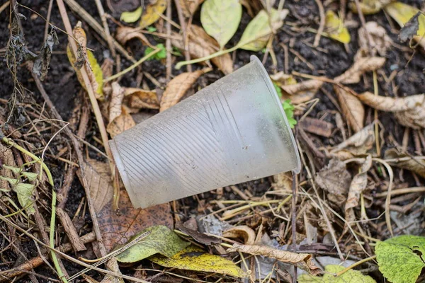 Сміття Однієї Білої Пластикової Чашки Лежить Траві Сухе Опале Листя — стокове фото