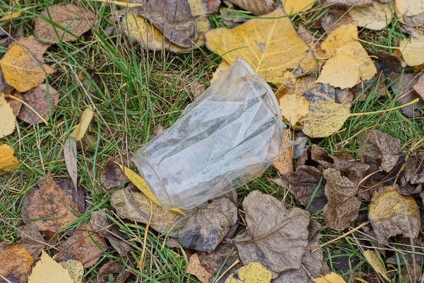 Lixo Copo Plástico Branco Jaz Grama Folhas Secas Caídas Natureza — Fotografia de Stock