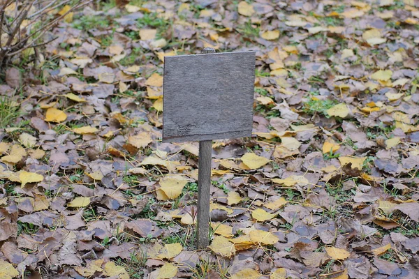 one small gray empty wooden sign stands on the ground in colored dry fallen leaves on the street in the park
