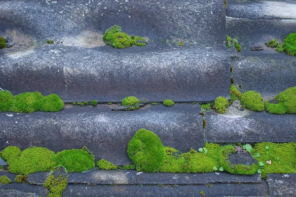 Γκρι Παλιό Σχιστόλιθο Στην Οροφή Κατάφυτη Πράσινα Βρύα Στο Δρόμο — Φωτογραφία Αρχείου