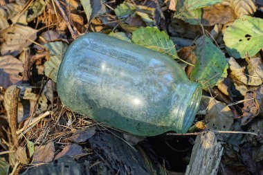 Büyük, kirli bir kavanozun çöpü doğadaki kahverengi yaprakların içinde yatıyor.