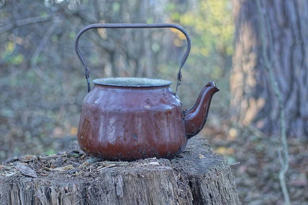 Один Старый Коричневый Грязный Эмалированный Металлический Чайник Стоит Старом Пне — стоковое фото