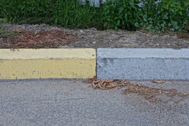 Caddedeki yeşil çimlerin yanında asfaltta gri, sarı beton kaldırım taşı var.