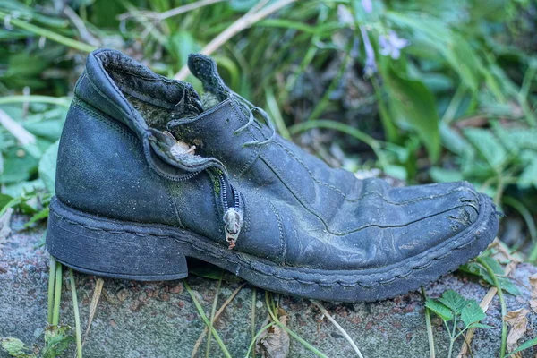 Один Старый Грязный Черный Кожаный Ботинок Стоит Сером Бетонном Тротуаре — стоковое фото