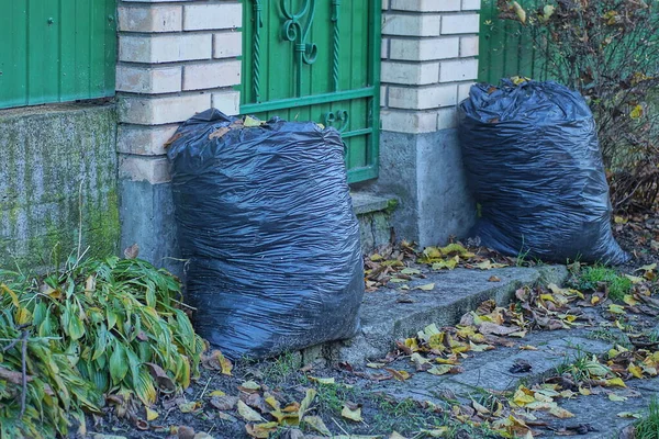 two large black plastic bags with garbage on gray ground in green grass outdoors near a brown brick wall outdoors