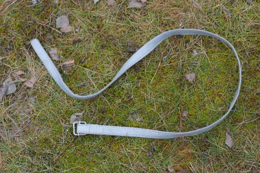 Doğada yeşil yosunların üzerinde yatan eski, gri, ince bir deri kemer.