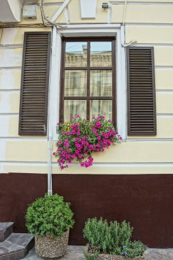 one window with brown wooden shutters and a flowerpot with decorative flowers on a stone wall in the street