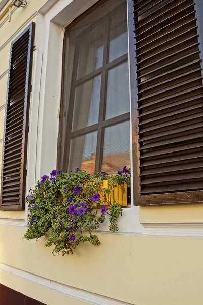 one window with brown wooden shutters and a flowerpot with decorative flowers on a stone wall in the street