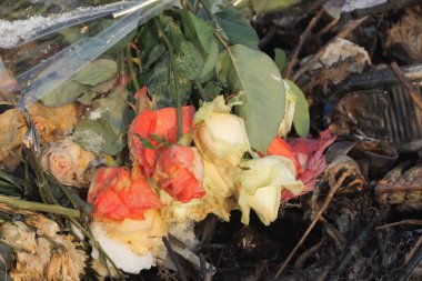 garbage from a bouquet of old colored roses in transparent cellophane lies on the earth on the rural street