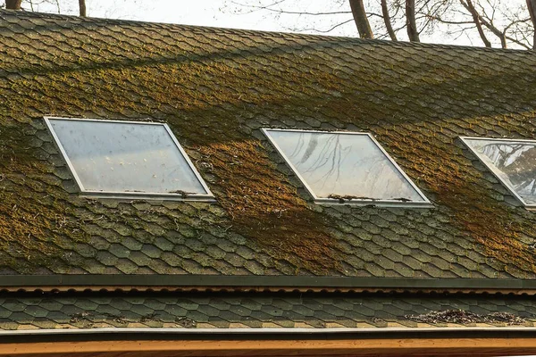 a row of square windows on a tiled brown green roof of a private house on the street against the sky