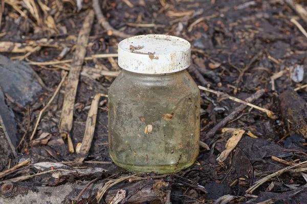 one old dirty glass jar closed with a white lid stands on the gray ground in the street