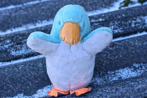 One Small Plush Old Colored Toy Penguin Stands Gray Table — ストック写真