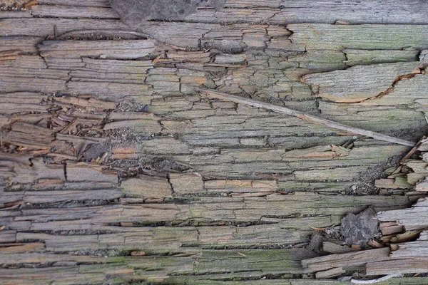 Textura Madeira Marrom Cinza Placa Velha Desgastada — Fotografia de Stock