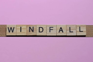 Küçük gri ahşap harflerden gelen Elan kelimesi pembe arka planda yatar.