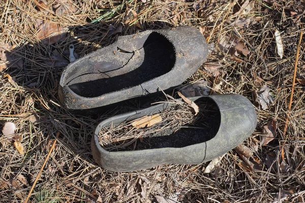 Sapatos Dois Velhos Galochas Borracha Preta Marrom Caído Folhas Grama — Fotografia de Stock