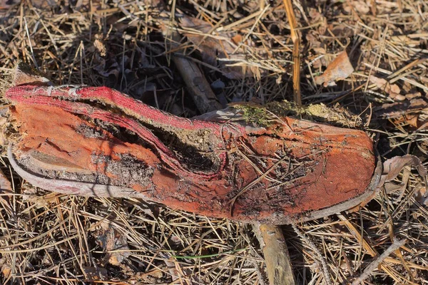 Jeden Stary Brudny Podarty Czerwonej Tkaniny Leży Szarej Suchej Trawie — Zdjęcie stockowe