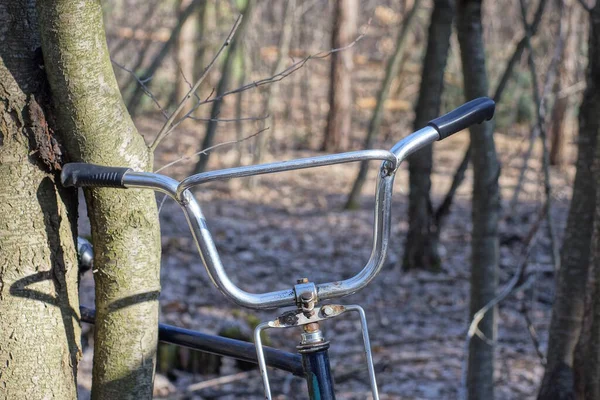 一辆有白色金属方向盘和黑色塑料手柄的老式复古自行车矗立在一棵灰色的树上 — 图库照片