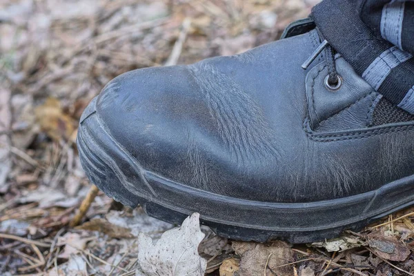 Grande Sapato Couro Preto Nos Pés Fica Folhas Secas Cinzentas — Fotografia de Stock