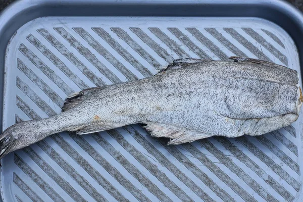 Satu Potongan Pollock Ikan Laut Beku Terletak Atas Meja Abu — Stok Foto