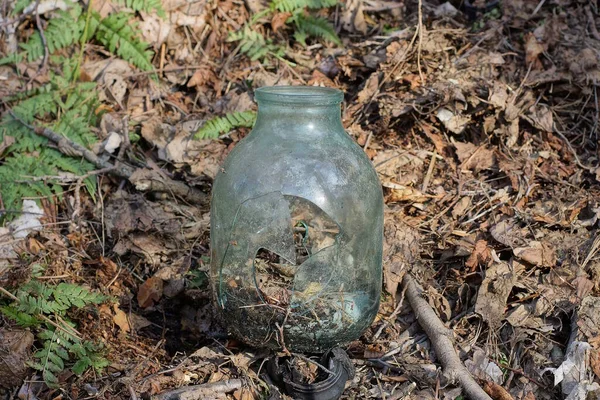 one old gray broken glass jar stands in brown dry vegetation on the ground on the street