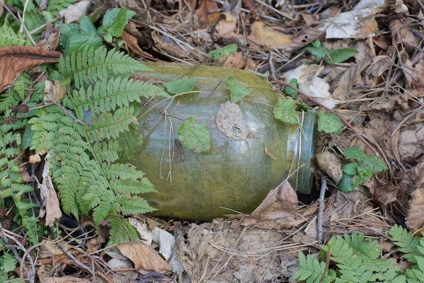 Śmieci Jednego Dużego Szarego Brudnego Szklanego Słoika Leżą Zielonych Brązowych — Zdjęcie stockowe