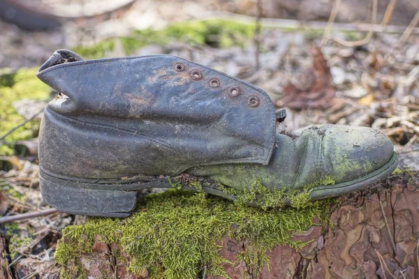 天然の茶色の切り株に緑の苔で覆われた古い黒い汚れた革の靴が立っています — ストック写真