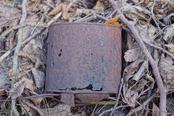 茶色の錆びた古い鉄の缶は乾燥した灰色の葉と自然の枝にあり — ストック写真