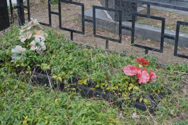 Mezarlıktaki siyah dövülmüş metal dekoratif çitlerin yanında yeşil bitkilerle kaplı yapay çiçekli eski bir mezar.