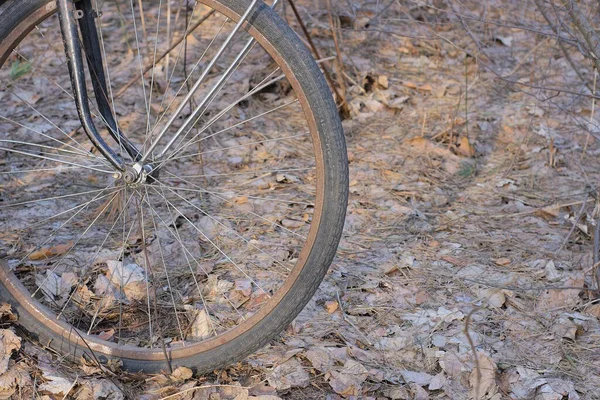 旧自行车的一部分 带有生锈的轮子 黑色的轮胎矗立在灰色干枯的树叶上 — 图库照片