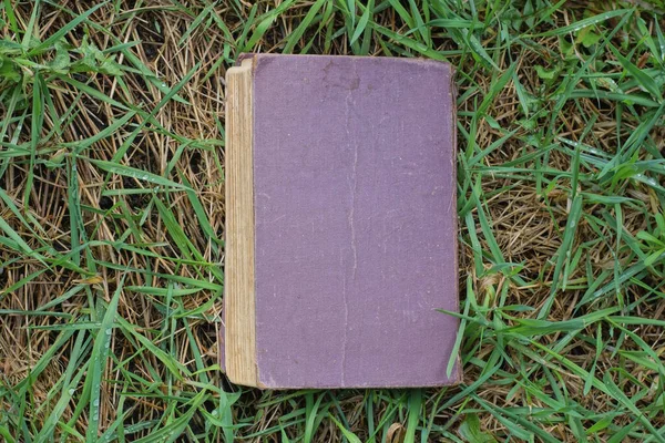 one old closed book with a purple cover lies in green grass outdoors in nature