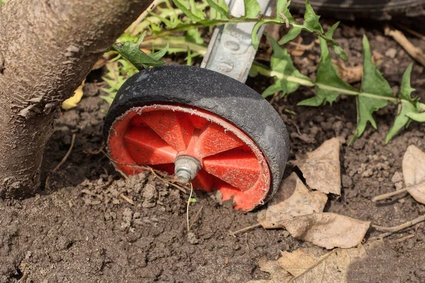 Uma Pequena Roda Preta Vermelha Plástico Carrinho Mão Jardim Fica — Fotografia de Stock