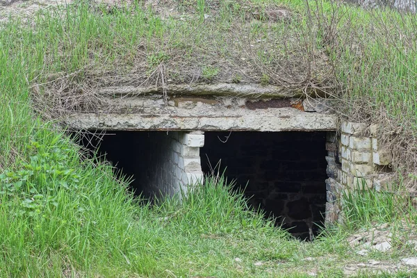Old Gray Concrete Brick Cellar Basement Ground Overgrown Green Grass — Stock Photo, Image